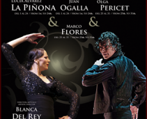 Great Flamenco show in Madrid