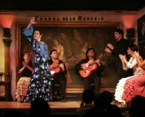 Great Flamenco show in Madrid