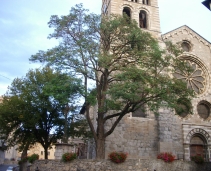 Embrun Cathedral