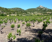 Château d'Aguilar