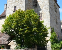 Château de la Johannie