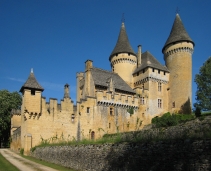 Château de Puymartin