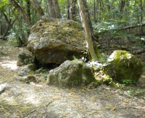 Peyre-Brune
