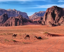 Wadi Rum 