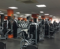 Low cost gym near IE