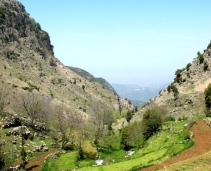 Moutains of Lebanon 