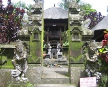 The beauty of Bali