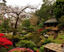 Japanese Tea Garden: a piece of Japan in California