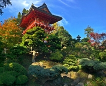 Japanese Tea Garden: a piece of Japan in California