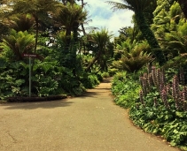 Golden Gate Park