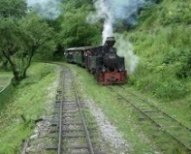 A unique train ride on the Văser Valley