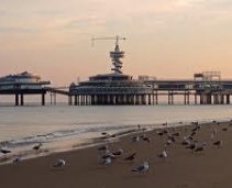 The surf city of the Netherlands