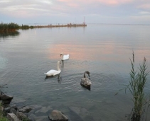 visit the Hungarian sea