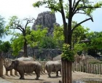 One of the oldest zoos in the world