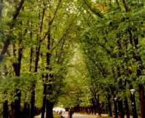 Visit one of Bucharest's nicest parks