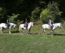 The best domain near Sighisoara