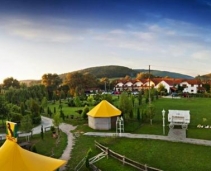 The best domain near Sighisoara