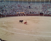 The famous bullring of Madrid