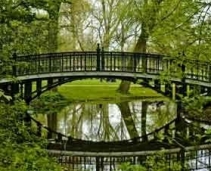 A place to relax in Amsterdam
