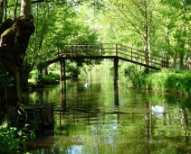 Amazing water canal forming 