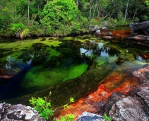 Caño Cristales - 