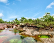 Caño Cristales - 