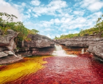 Caño Cristales - 