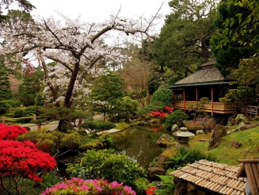 Japanese Tea Garden