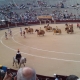 The famous bullring of Madrid