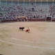 The famous bullring of Madrid