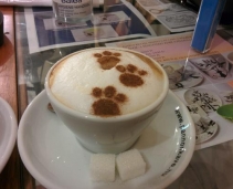 A coffee and a kitty ?