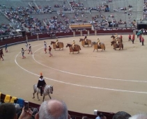 The famous bullring of Madrid