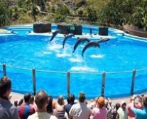The best Zoo and Botanical Garden in the Canary Islands